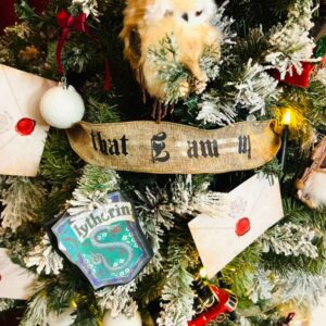 WhatsApp Image 2025-12-26 at 11.02.24 AM (2)