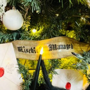 WhatsApp Image 2025-12-26 at 11.02.25 AM (1)