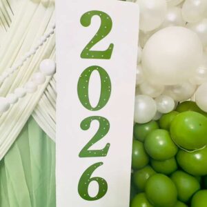 WhatsApp Image 2026-01-01 at 11.39.17 PM (6)